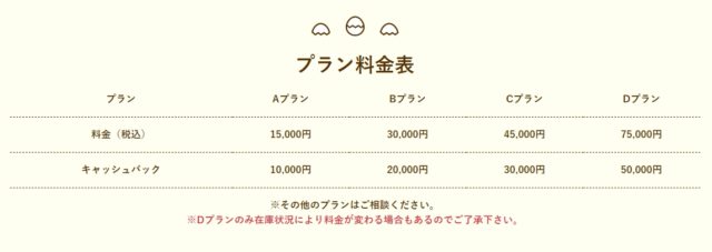 ひよこペイの後払いはどんな内容?