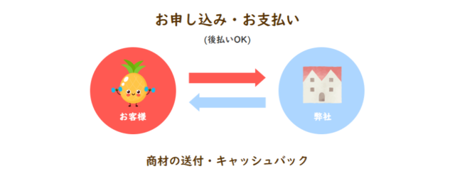 ぱいなっぷるのサービス概要は？