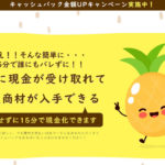 ぱいなっぷる_後払いツケ払い現金化