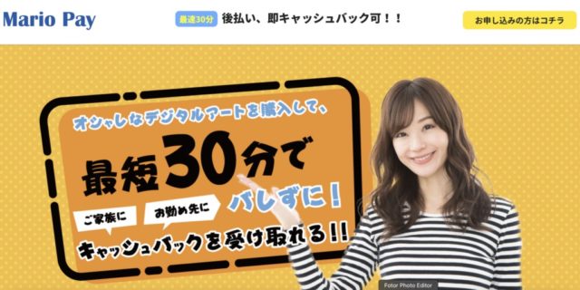 マリオペイ会社情報