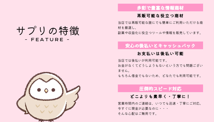 サプリサービス概要