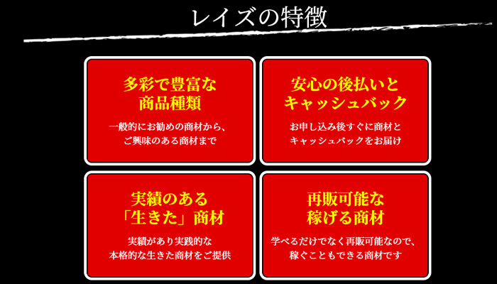 レイズサービス概要