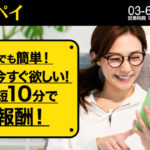 セルフペイ会社概要