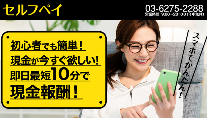 セルフペイ会社概要