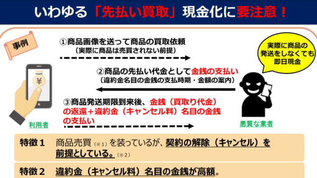 金融庁:先払い買取の仕組み