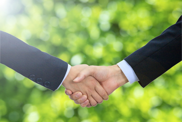 【徹底解説】闇金のマネキネコからの被害を相談できる専門家=どんな人?